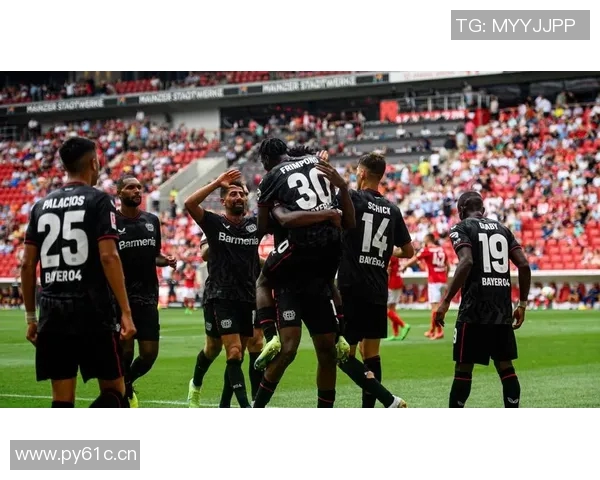 目前在德甲联赛中拥有中资背景的球队